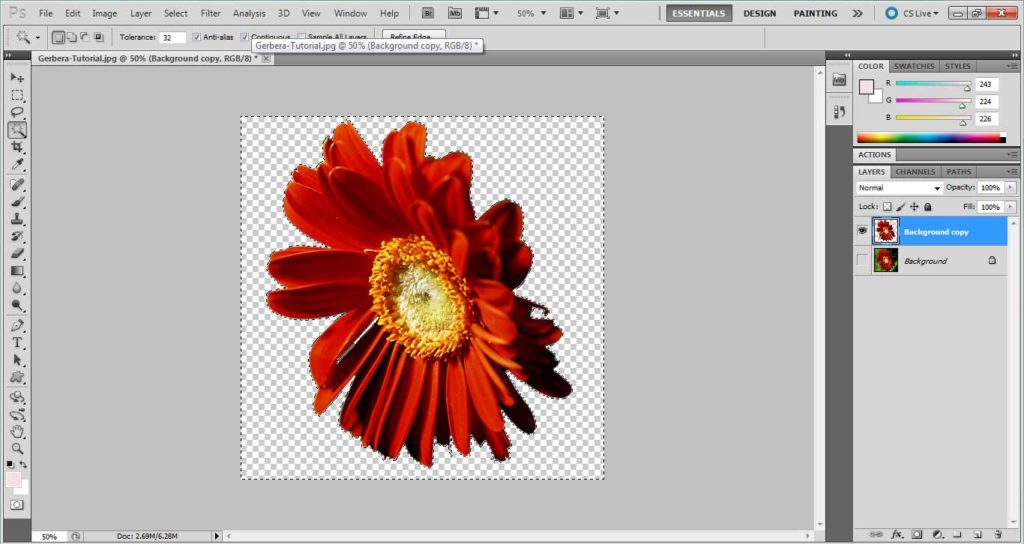 Tips: Make a Transparent background in Photoshop – Divin Images